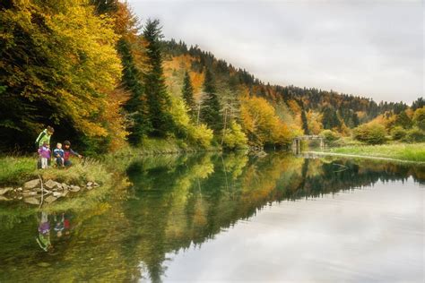 Selva de Irati (Navarra) Attraktionen und Bilder